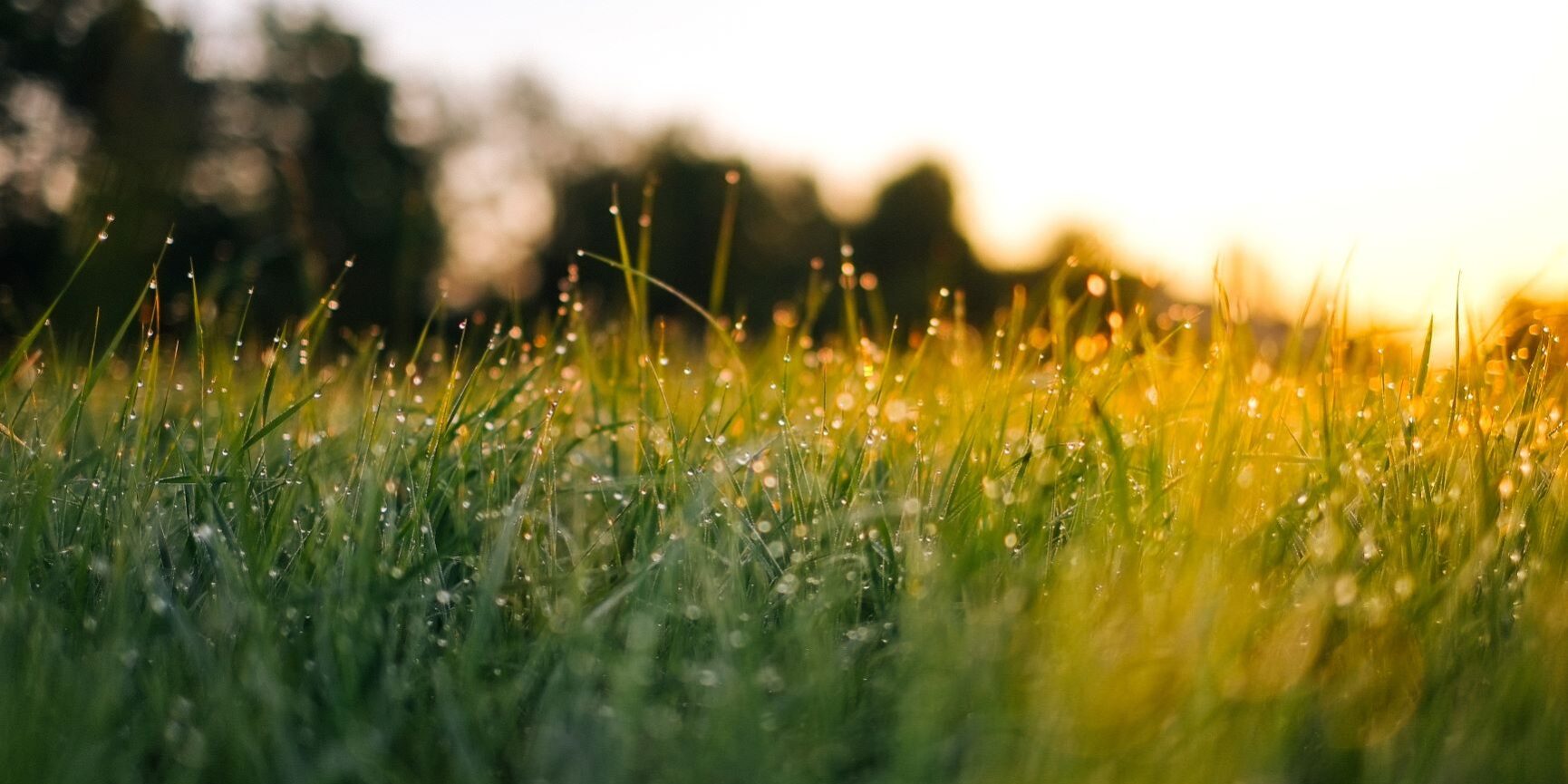 jonas-weckschmied-117633-unsplash