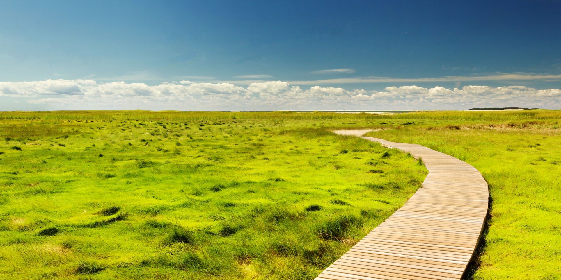 todd-quackenbush-46468-unsplash-2