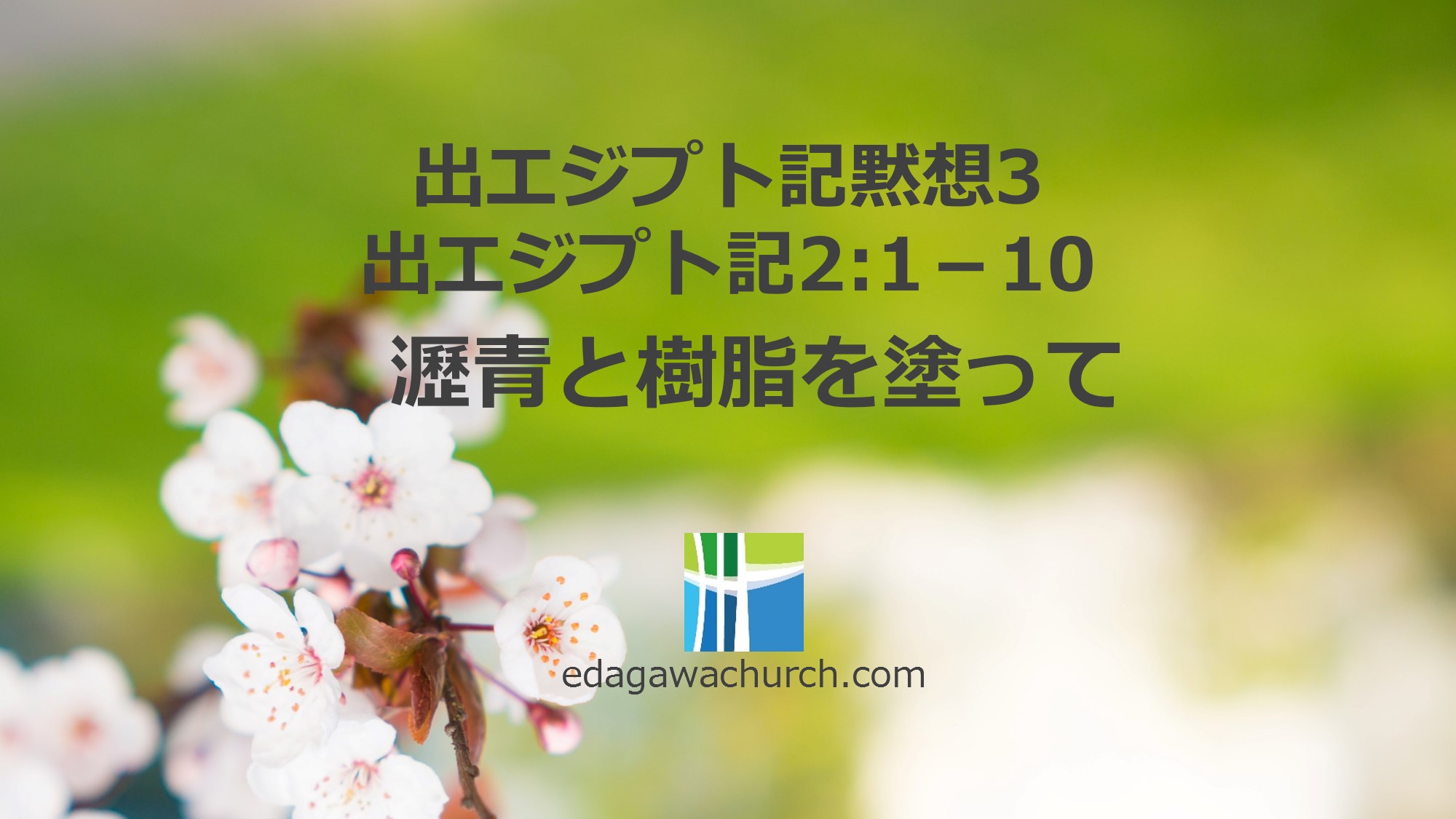 出エジプト記 Qt3 水 瀝青と樹脂を塗って 出エジプト 2章 1 10 枝川愛の教会 豊洲教会