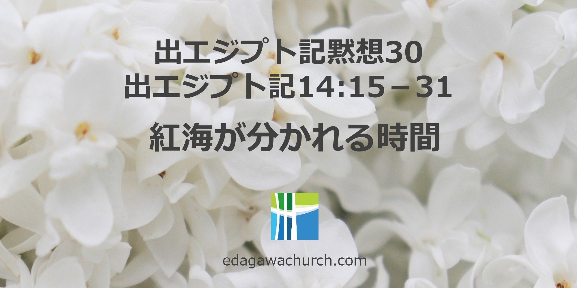 出エジプト記 Qt30 土 紅海が分かれる時間 出エジプト 14章 15 31 枝川愛の教会 豊洲教会