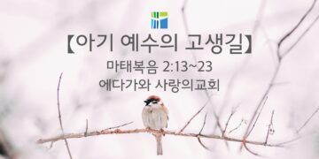 마태복음 묵상 【아기 예수의 고생길】 20260115(목) 에다가와 사랑의교회 조용길 목사