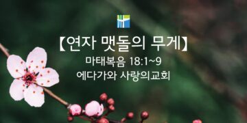 마태복음 묵상 【연자 맷돌의 무게】 20260226(목) 에다가와 사랑의교회 조용길 목사