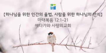 마태복음 묵상 【하나님을 위한 인간의 율법, 사람을 위한 하나님의 안식】 20260209(월) 에다가와 사랑의교회 조용길 목사